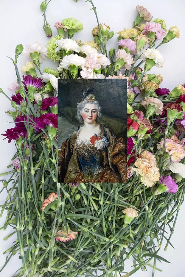 Jacqueline Salmon, Les œillets (dianthus), Madame de Souscarrière, 2023